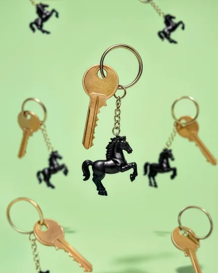 House keys on black horse keyrings floating on green